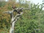 pict4584_small.jpg