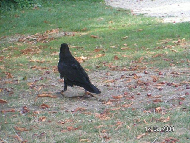 pict4587.jpg