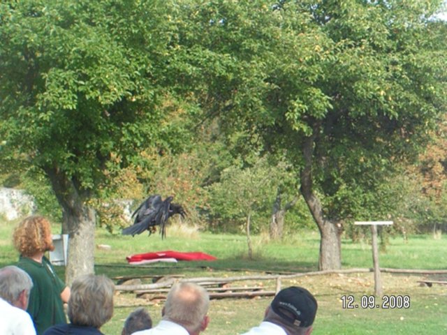 pict4590.jpg