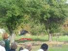 pict4590_small.jpg
