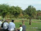 pict4603_small.jpg