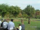 pict4605_small.jpg