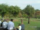 pict4606_small.jpg