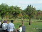 pict4607_small.jpg