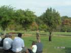 pict4608_small.jpg