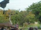 pict4614_small.jpg