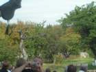 pict4615_small.jpg