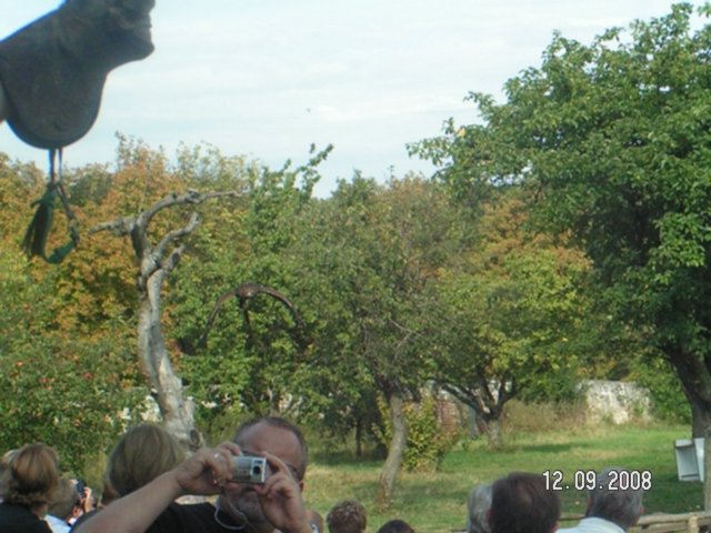 pict4616.jpg