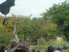 pict4616_small.jpg