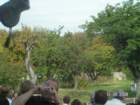 pict4617_small.jpg