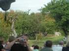 pict4621_small.jpg
