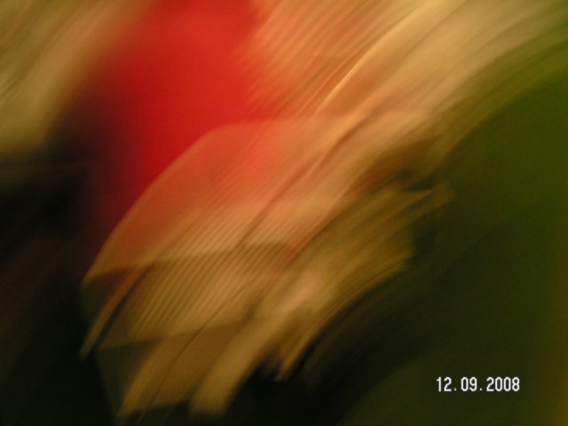pict4688.jpg