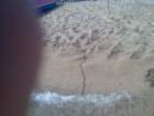 billede080_small.jpg