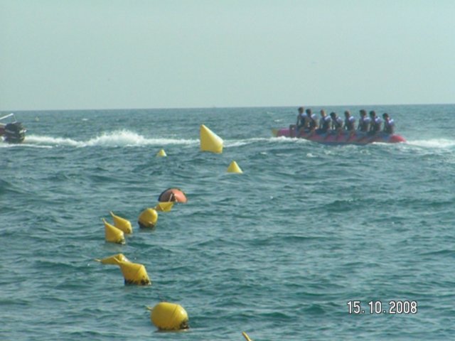 pict5421.jpg