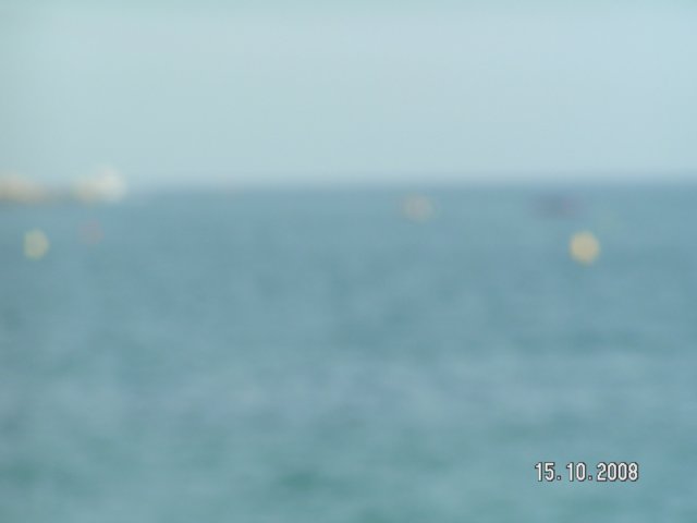 pict5429.jpg