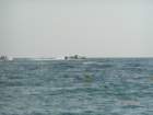 pict5434_small.jpg