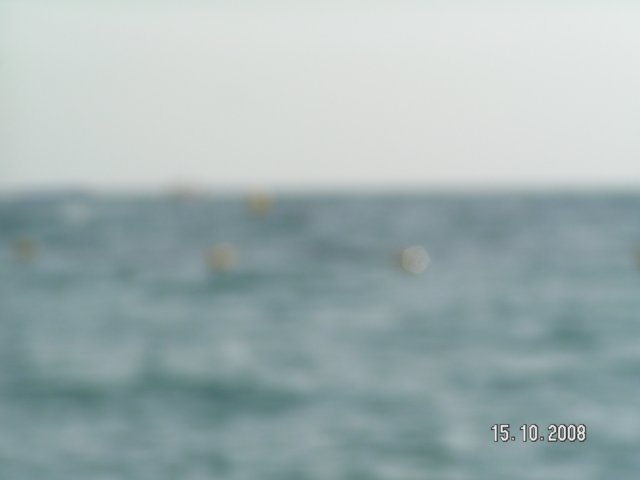 pict5437.jpg