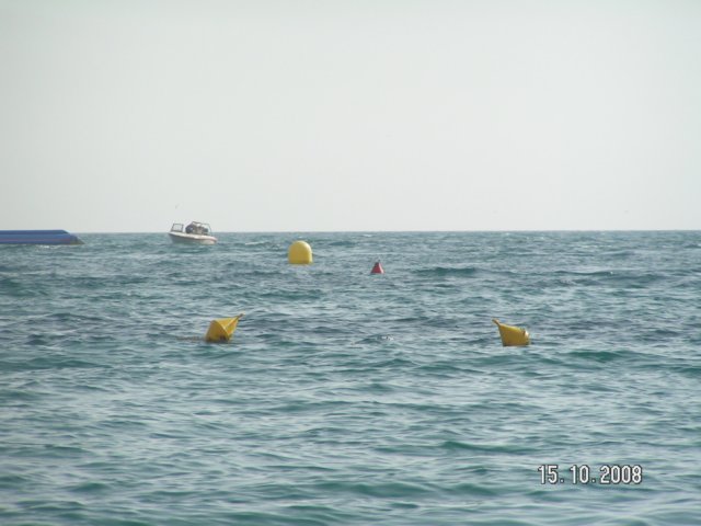 pict5439.jpg