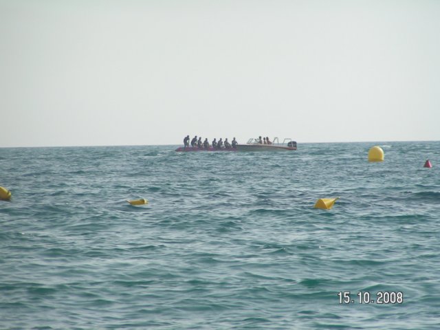 pict5445.jpg