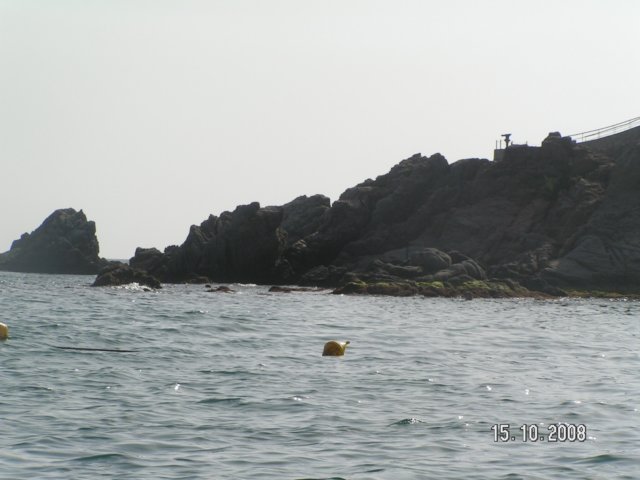 pict5447.jpg