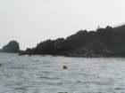 pict5447_small.jpg