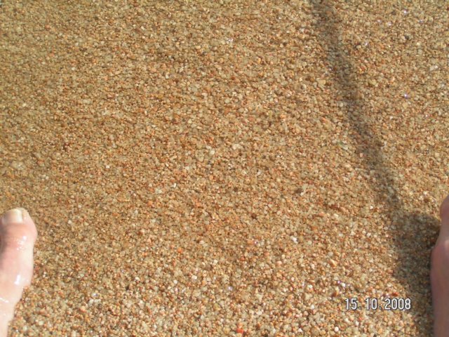 pict5451.jpg