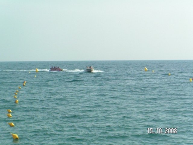 pict5474.jpg