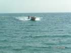 pict5477_small.jpg
