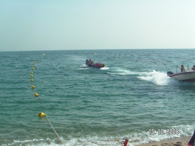 pict5484.jpg