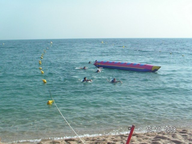 pict5501.jpg